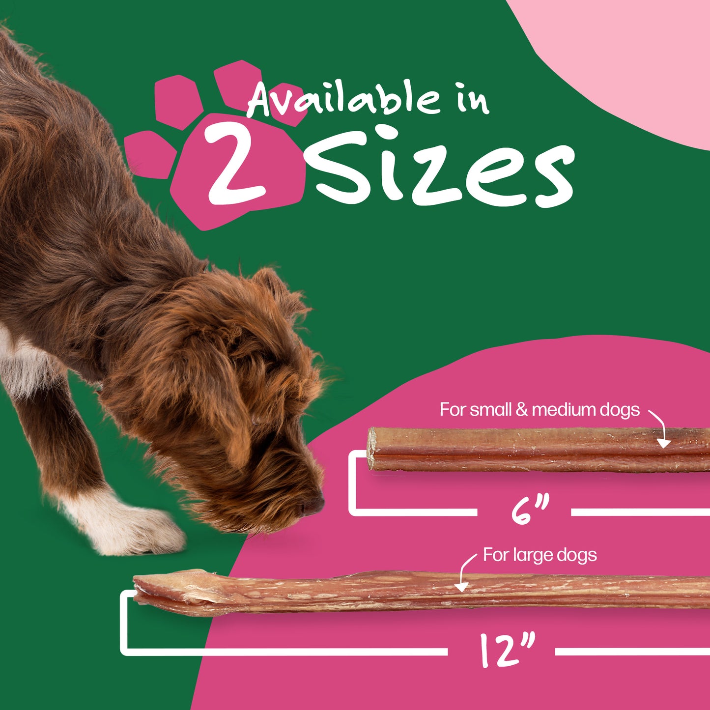 6" Bully Sticks 25-pack